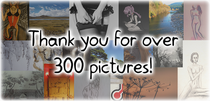 Thank you for over 300 pictures!